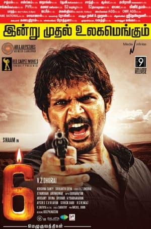 6 Candles (2013) Hindi Dubbed | Hindi Dubbed Movie HDRip [950MB]