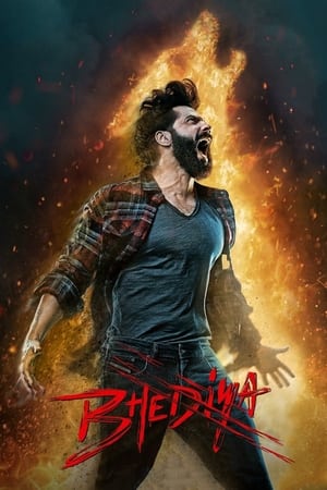 Bhediya 2022 Hindi Movie HDRip | Hindi Dubbed Movie – 480p