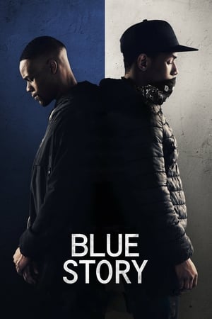 Blue Story (2019) Hindi Dual Audio HDRip | Hindi Dubbed Movie – 480p