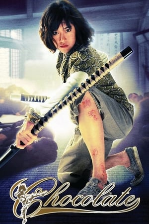 Chocolate (2008) Hindi Dual Audio | Hindi Dubbed Movie BluRay [830MB]