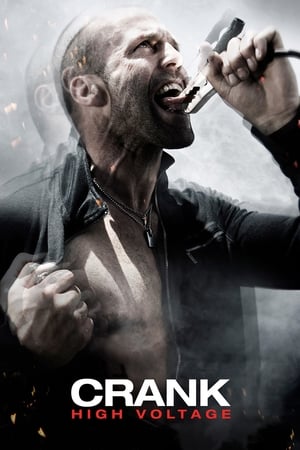 Crank: High Voltage (2009) Hindi Dual Audio | Hindi Dubbed Movie BluRay [1GB]