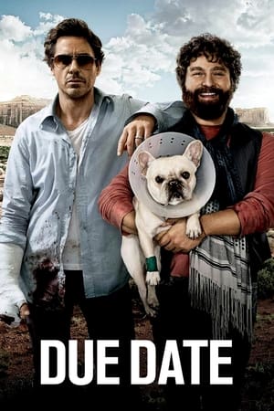 Due Date (2010) Hindi Dual Audio | Hindi Dubbed Movie BluRay [850MB]