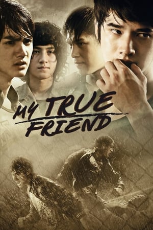 Friends Never Die (2012) Hindi Dubbed | Hindi Dubbed Movie HDRip [1.1GB]