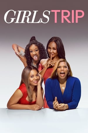 Girls Trip (2017) Hindi Dual Audio | Hindi Dubbed Movie BluRay [1GB]