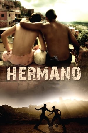 Hermano 2010 Hindi Dual Audio | Hindi Dubbed Movie BluRay [1.2GB]