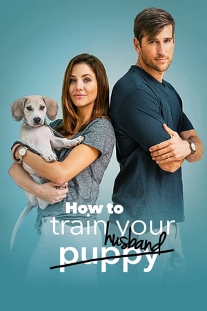 How to Train Your Husband 2018 Hindi Dual Audio | Hindi Dubbed Movie BluRay [1GB]