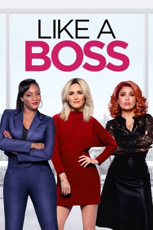 Like a Boss (2020) Hindi Dual Audio | Hindi Dubbed Movie Web-DL [760MB]