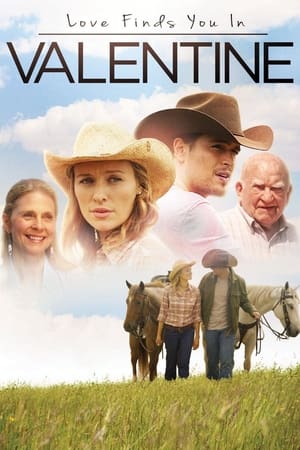 Love Finds You in Valentine (2016) Hindi Dual Audio | Hindi Dubbed Movie BluRay [800MB]