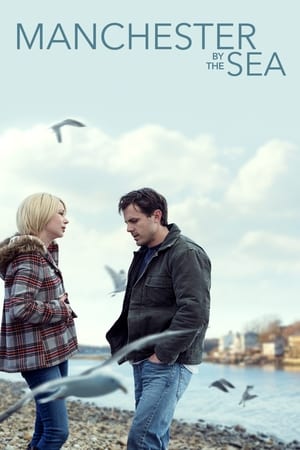 Manchester by the Sea 2016 Hindi Dual Audio | Hindi Dubbed Movie BluRay [1.3GB]