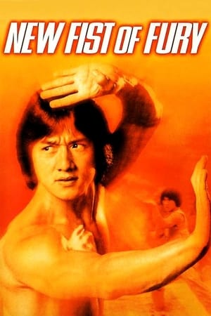 New Fists of Fury 1976 Dual Audio Hindi | Hindi Dubbed Movie BluRay 360MB