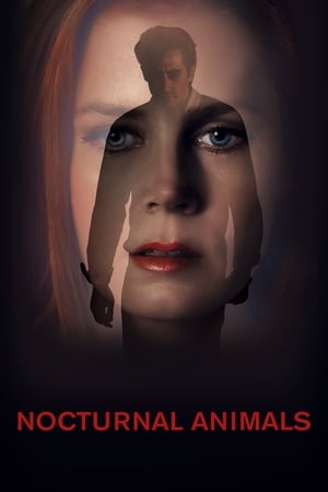 Nocturnal Animals (2016) Hindi Dual Audio | Hindi Dubbed Movie BluRay [1GB]