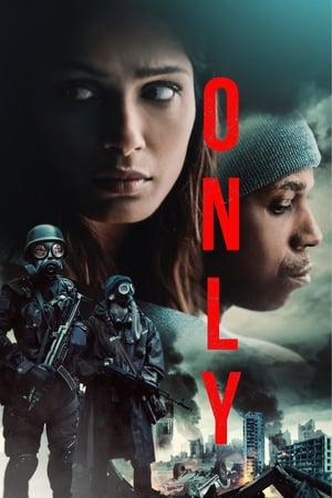 Only 2019 Hindi Dual Audio | Hindi Dubbed Movie Web-DL [900MB]