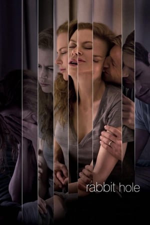 Rabbit Hole (2010) Hindi Dual Audio | Hindi Dubbed Movie BluRay [750MB] ESubs