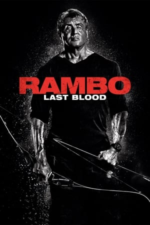 Rambo: Last Blood (2019) Hindi Dual Audio | Hindi Dubbed Movie BluRay [950MB]