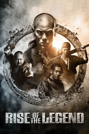 Rise of the Legend 2014 Hindi Dual Audio | Hindi Dubbed Movie BluRay [1.1GB]