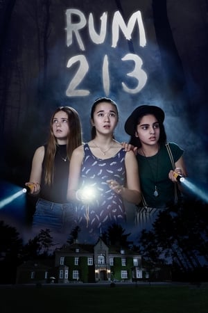 Rum 213 2017 Hindi Dual Audio | Hindi Dubbed Movie BluRay [800MB]