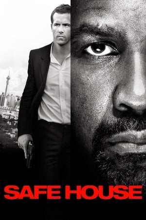 Safe House (2012) Hindi Dual Audio | Hindi Dubbed Movie BluRay [1GB]