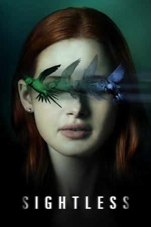 Sightless 2020 Hindi Dual Audio | Hindi Dubbed Movie Web-DL [800MB]
