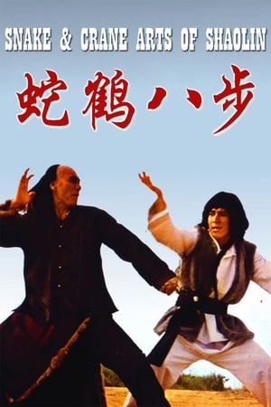 Snake and Crane Arts of Shaolin 1978 Hindi Dual Audio | Hindi Dubbed Movie BluRay [980MB]