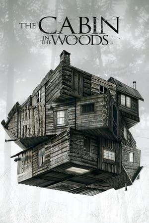 The Cabin in the Woods (2011) Hindi Dual Audio | Hindi Dubbed Movie BluRay [990MB]