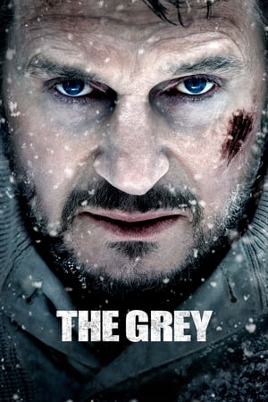 The Grey 2011 Hindi Dual Audio | Hindi Dubbed Movie BluRay [830MB]