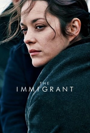 The Immigrant (2013) Hindi Dual Audio | Hindi Dubbed Movie BluRay [880MB]