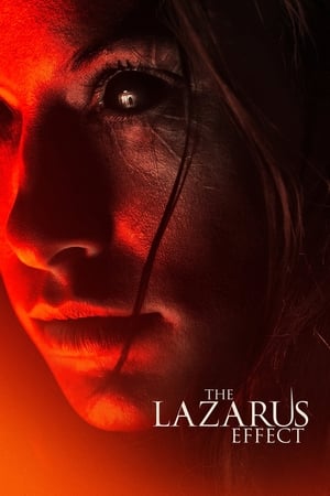 The Lazarus Effect (2015) Hindi Dual Audio | Hindi Dubbed Movie BluRay [800MB]