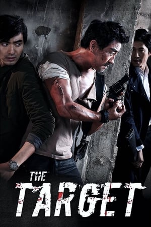 The Target (2014) Hindi Dual Audio | Hindi Dubbed Movie Bluray [900MB]