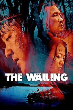 The Wailing 2016 Hindi Dual Audio | Hindi Dubbed Movie Web-DL [1.3GB]