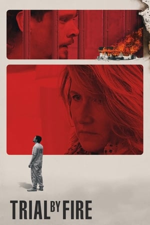 Trial by Fire 2018 Hindi Dual Audio | Hindi Dubbed Movie Web-DL [1GB]