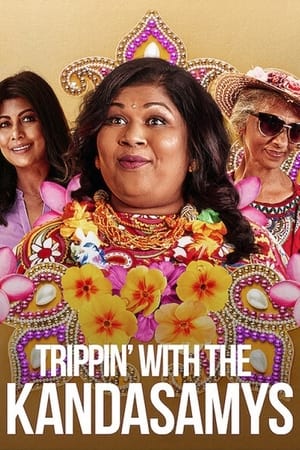 Trippin with the Kandasamys 2021 Hindi Dual Audio | Hindi Dubbed Movie Web-DL [850MB]