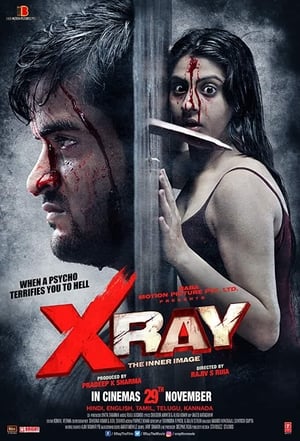 X Ray The Inner Image 2019 Movie | Hindi Dubbed Movie HDRip - [300MB]